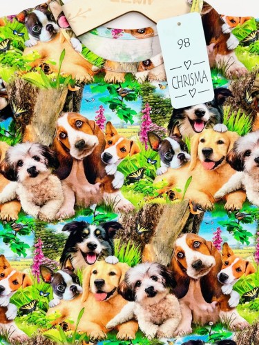 T-shirt dziewczęcy PSY Chrisma