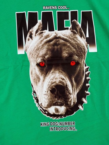 T-shirt chłopięcy PIES