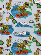 T-shirt chłopięcy SURFING Chrisma