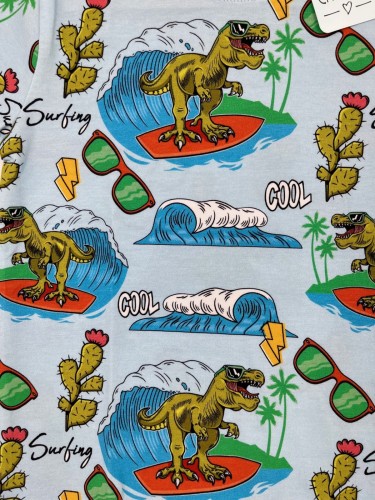 T-shirt chłopięcy SURFING Chrisma