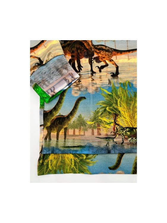 Bluzka chłopięca DINO AIPI