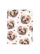 T-shirt dziewczęcy KOTKI Chrisma