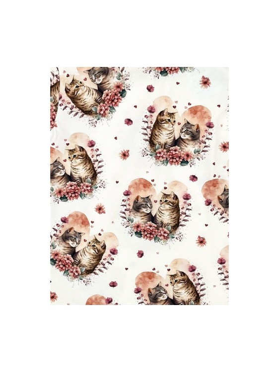 T-shirt dziewczęcy KOTKI Chrisma