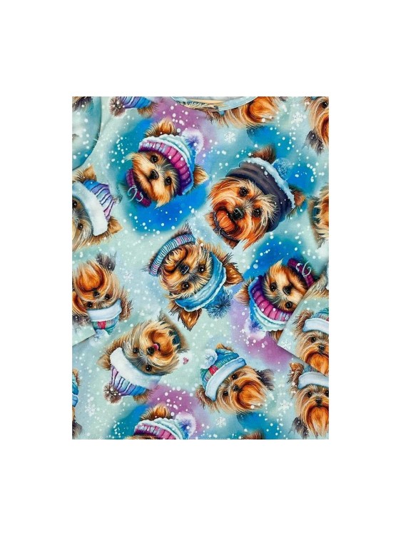 Bluzka dziewczęca w pieski Amir