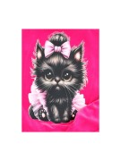 Dres dziewczęcy welurowy dwuczęściowy Lambda kot