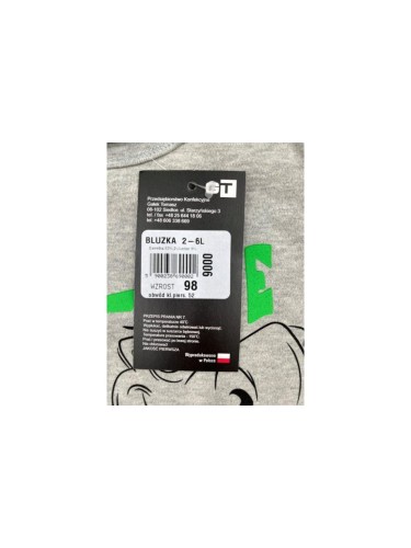 Bluzka chłopięca Dino GT