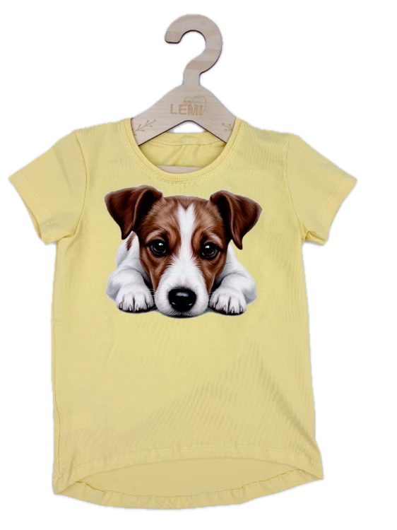 Tło usunięte (IMG_6281).png