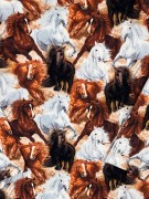 Bluzka Konie Chrisma